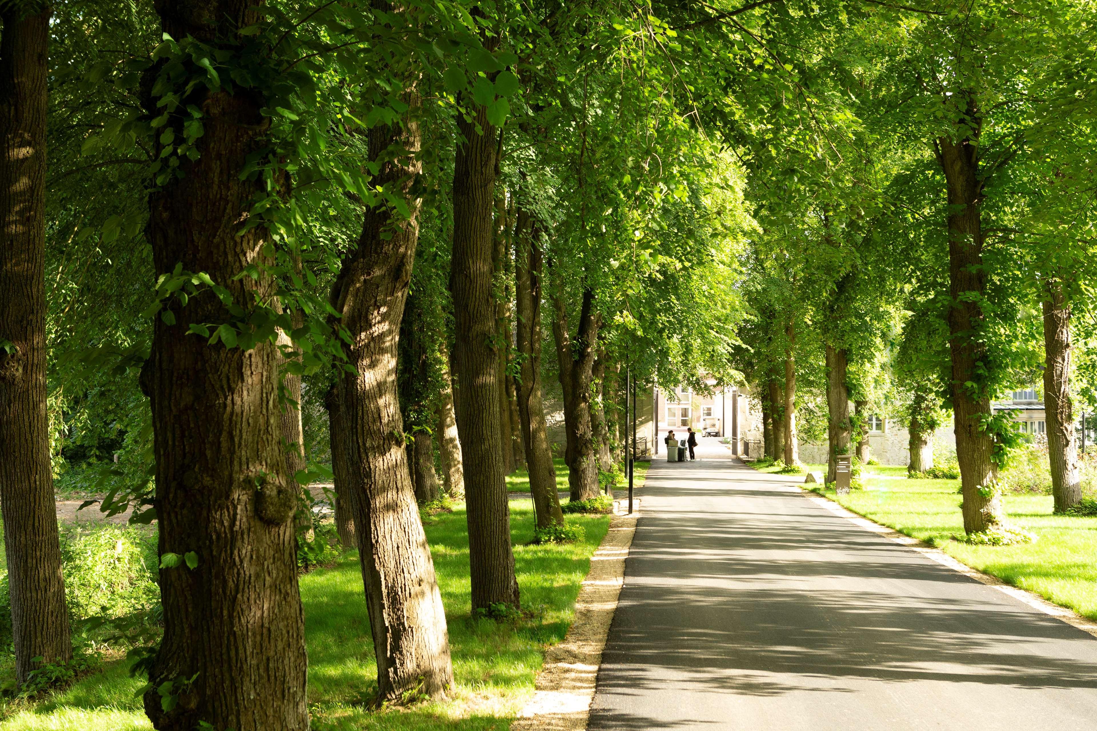 Hyatt Regency Chantilly Vineuil-Saint-Firmin Dış mekan fotoğraf